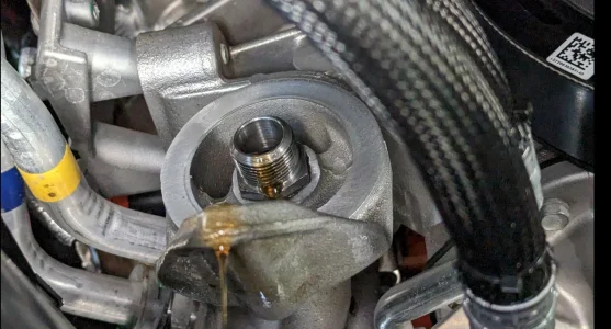 Screenshot 2025-10-20 at 11.45.14 AM.webp