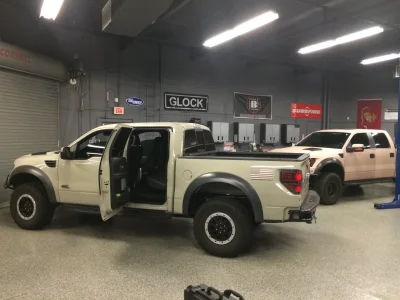 Toms raptors (1) (1).webp