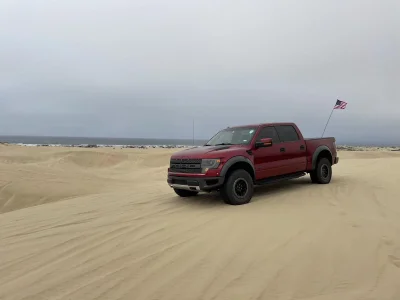 Raptor at Pismo.webp
