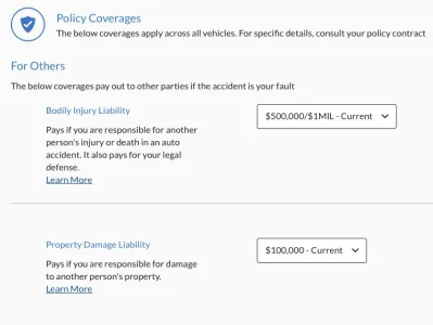 Screen Shot 2021-01-25 at 12.14.20 PM.webp
