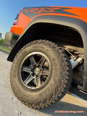 TRX-forgeline7.webp