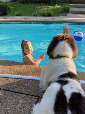 Lifegaurd.webp