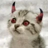 meow