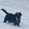 Sabre
