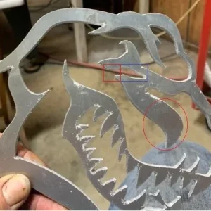 Rex6inch.JPG