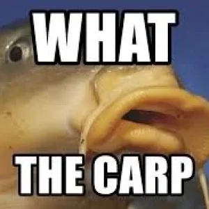 9080012E-788C-4A1B-904A-053E1090C62B.jpeg
