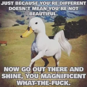 1699731701750.jpeg