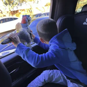 TRXkids3.jpg