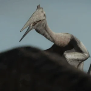 tenor (25).gif