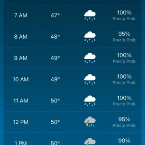 forecast.jpg