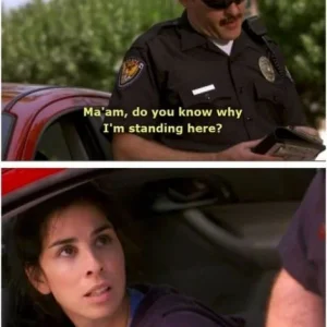 Cop pulled over.JPG
