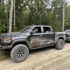 Dirty Rex at Belmore.jpg