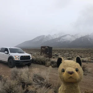 Raptor Project Faultless.jpg