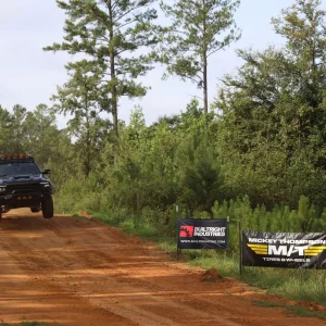 photo aug 02 2024, 8 07 53 pm.jpeg