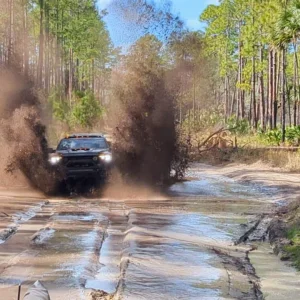 Mud pic.JPG