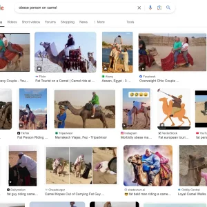 Camels banned Obese.webp