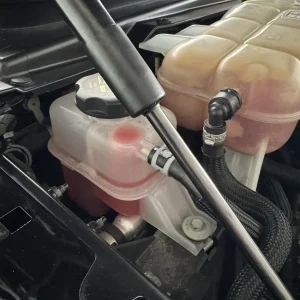 IMG_7369.webp