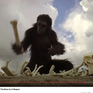 Ape discovering RC 6 piston brakes.webp