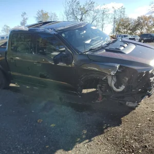 Salvage title Raptor R for sale