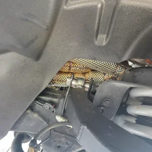 Media '20260409_110752.webp' in category 'RAM TRX Mods'