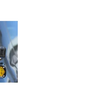 LIGHTS.webp