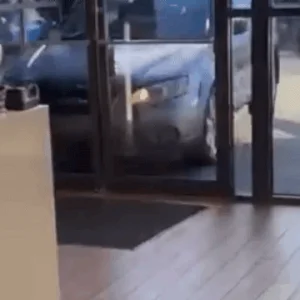 1000014051.gif