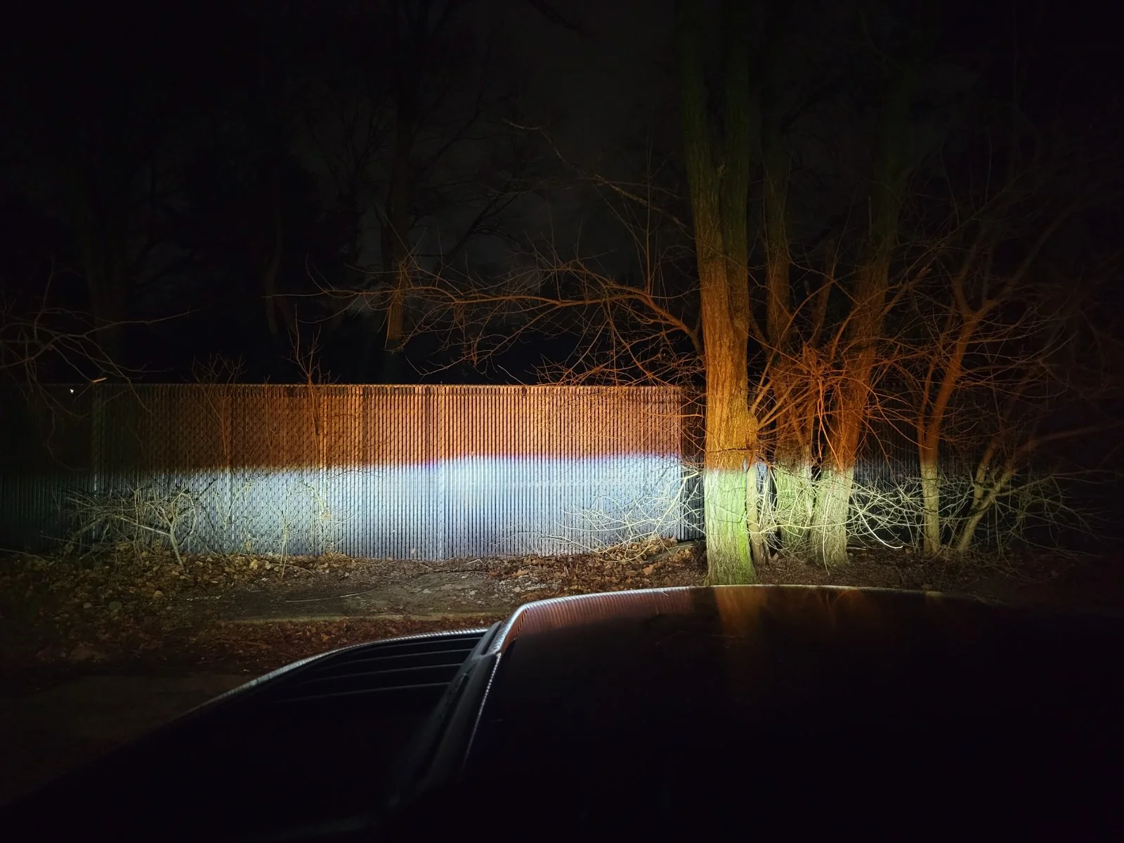 20240127_193129.jpg