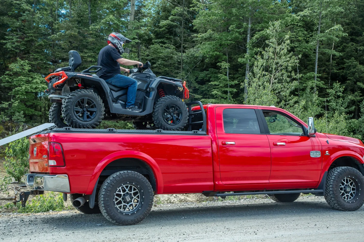DiamondbacK-Covers-HD-7-of-12 (2).webp
