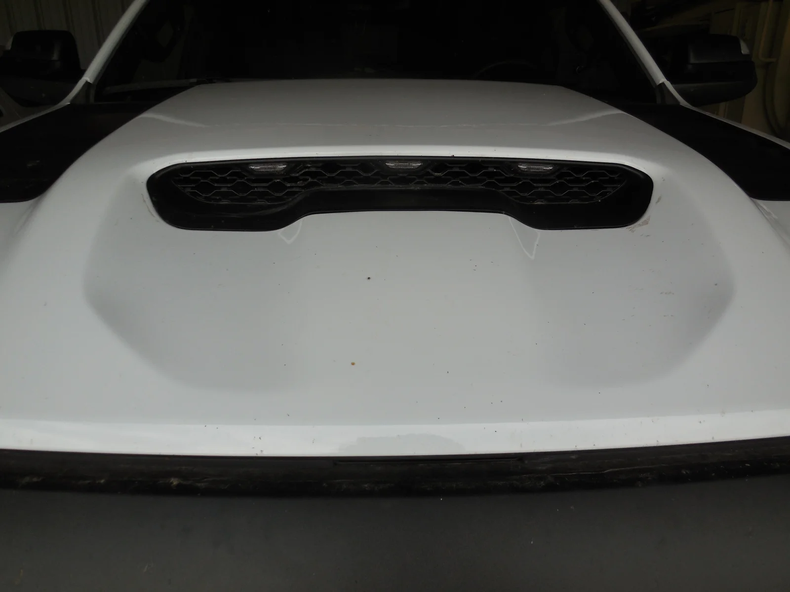 DSCN0577[1].webp