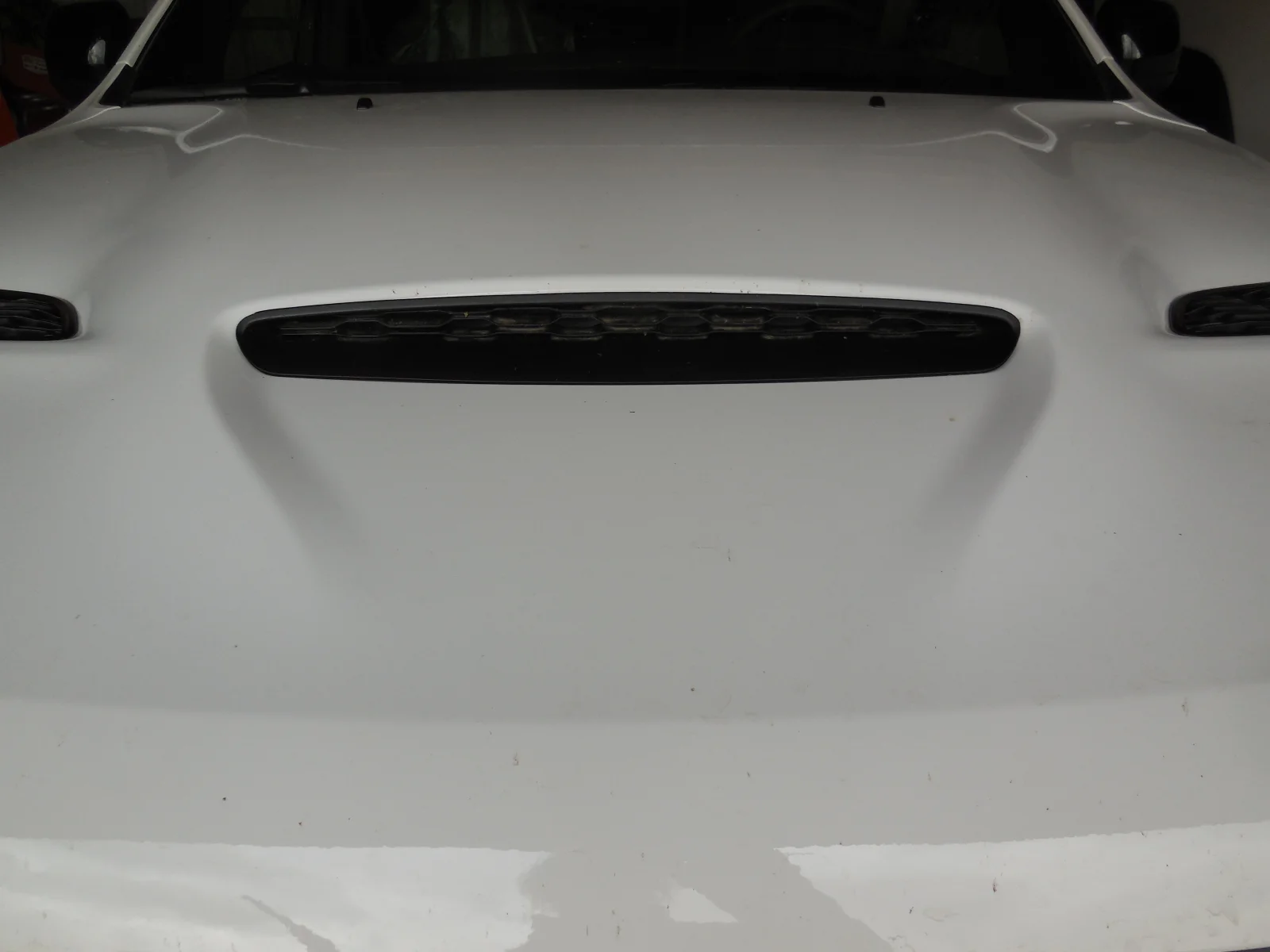 DSCN0578[1].webp