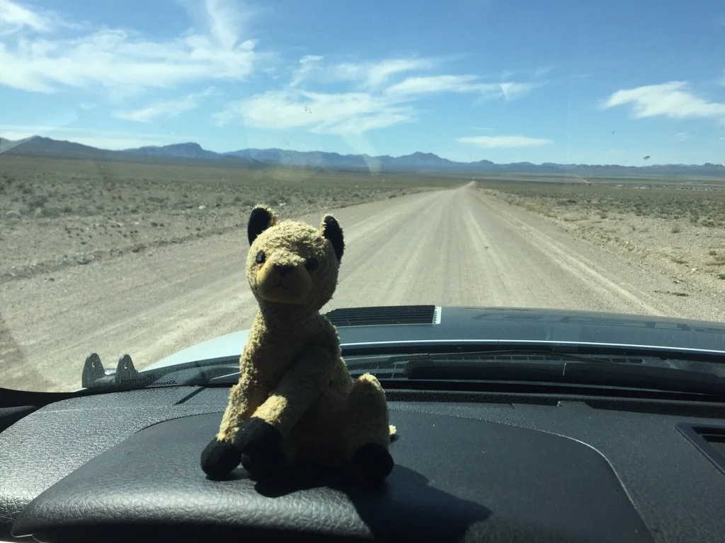 Groom Lake dirt road.jpg