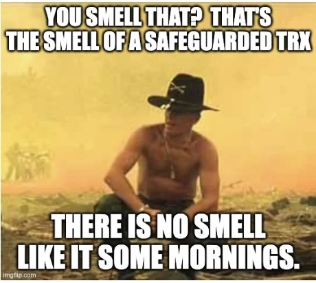 Safe TRX.webp