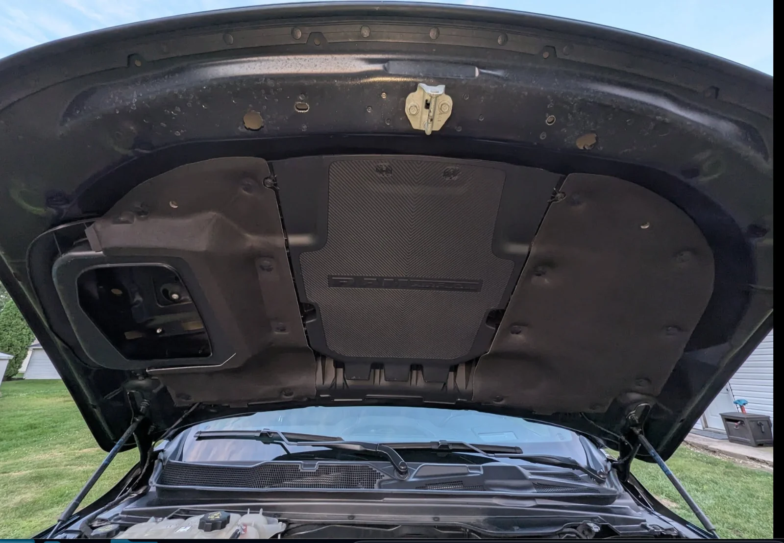 Screenshot 2025-08-14 at 7.50.44 AM.webp