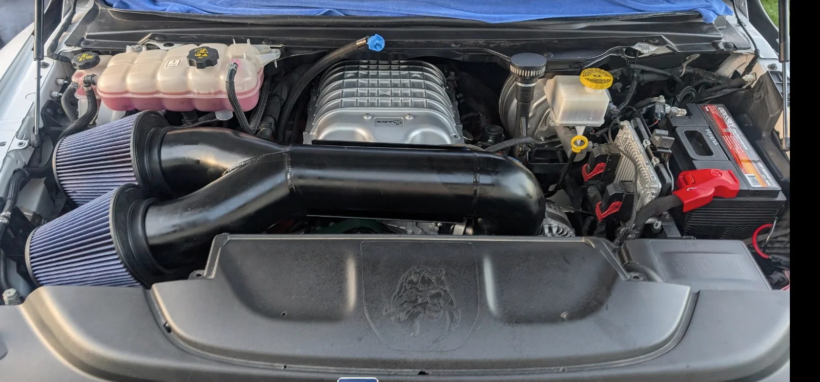 Screenshot 2026-03-11 at 7.48.23 AM.webp