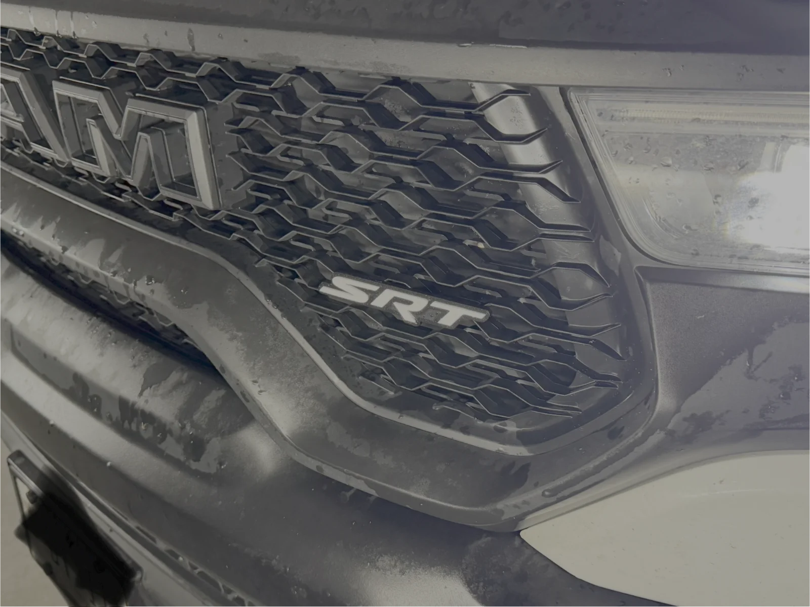 SRT emblem - test.webp