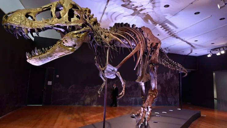 t-rex-fossil-32mil.jpg