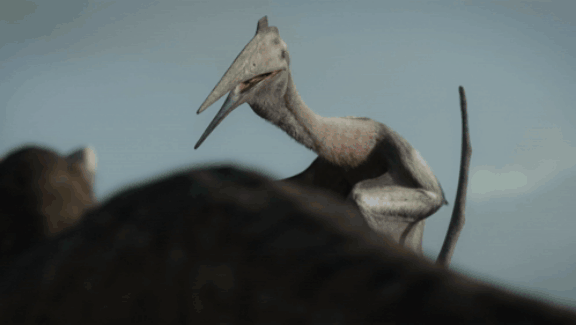 tenor (25).gif